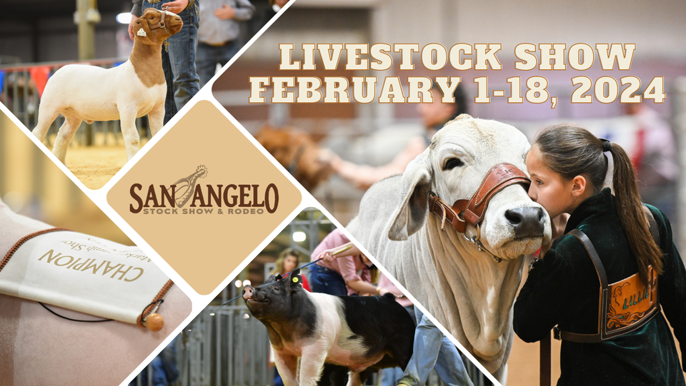 Watch San Angelo livestock show 2024 Live Stream